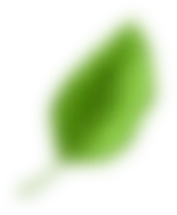 Bottom Leaf